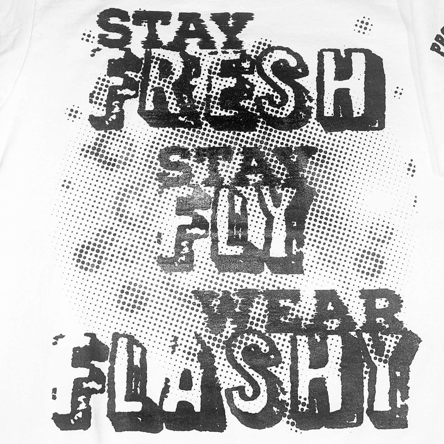 T-Shirt features a black design with "Stay Fresh, Stay Fly, Wear Flashy" on the front and the Property of Flashy Fashion design on left sleeve. T-shirts are 7.5 oz. 100% USA cotton with an oversized/relaxed fit with slight drop shoulder.