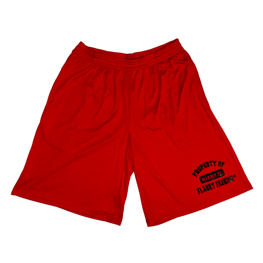 Flashy Fashion® “2-A-Days” Shorts